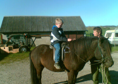 Alexander 2007