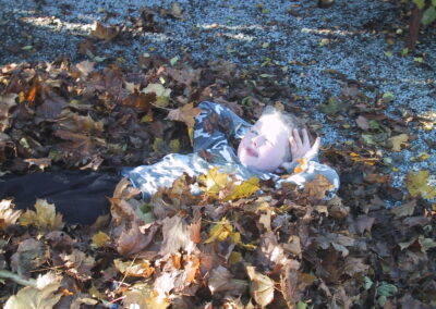 Alexander 2006