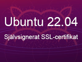 Självsignerat SSL-certifikat för Apache2 – Viktigt