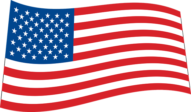 usa flagga1