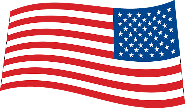 usa flagga2